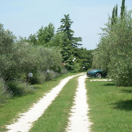 Vista Assisi Panzió Kültér fotó