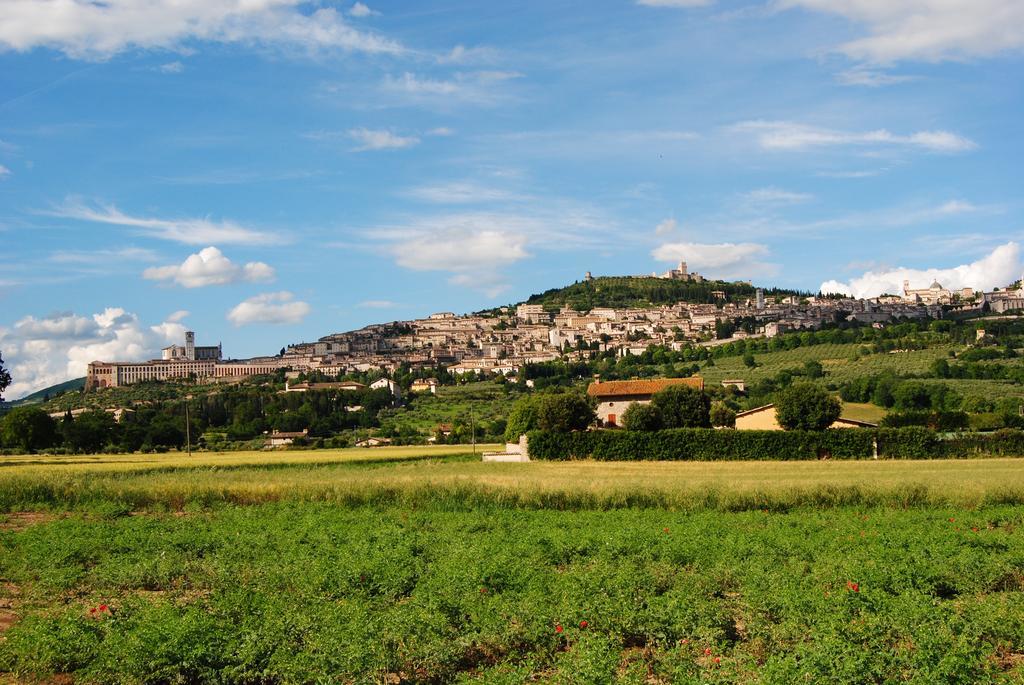 Vista Assisi Panzió Kültér fotó
