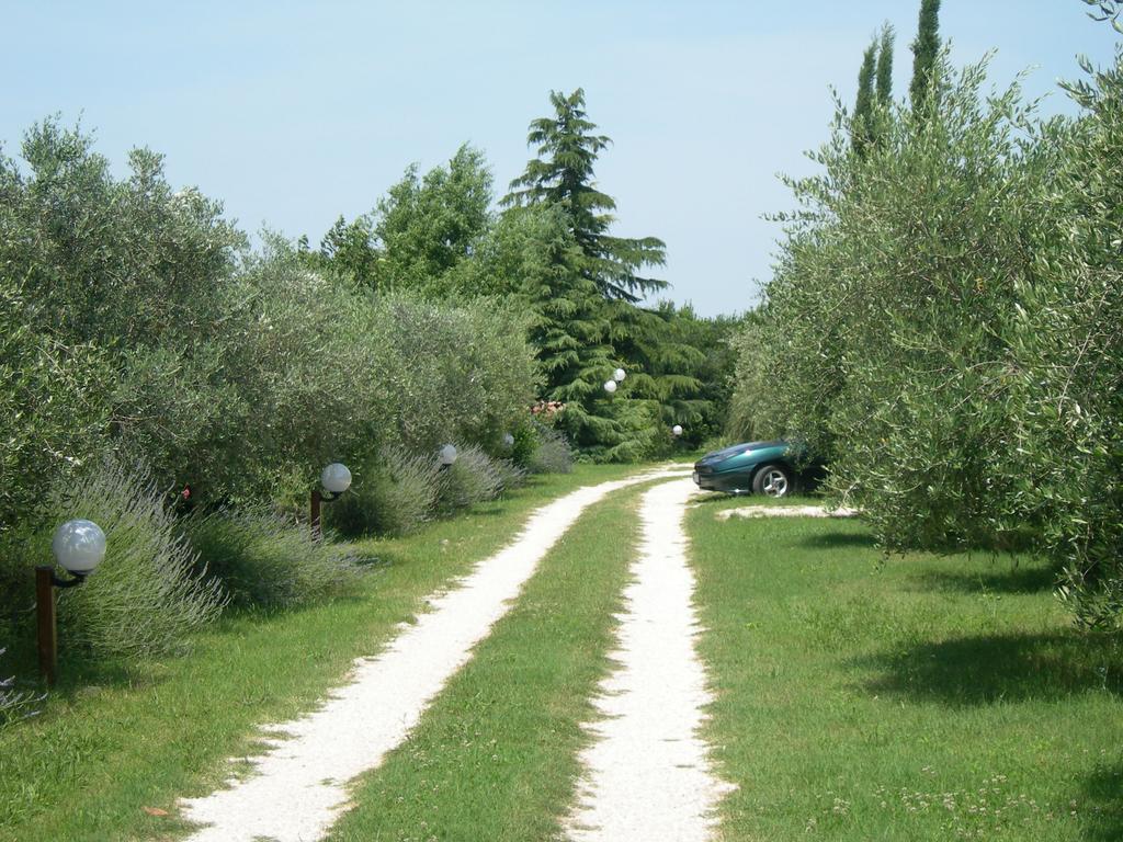 Vista Assisi Panzió Kültér fotó