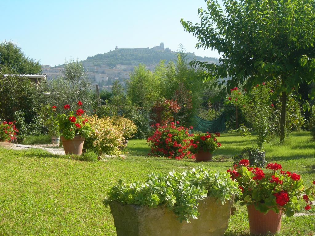 Vista Assisi Panzió Kültér fotó