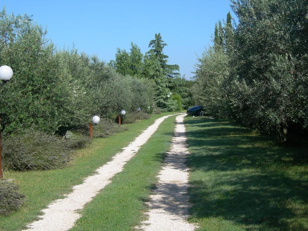 Vista Assisi Panzió Kültér fotó